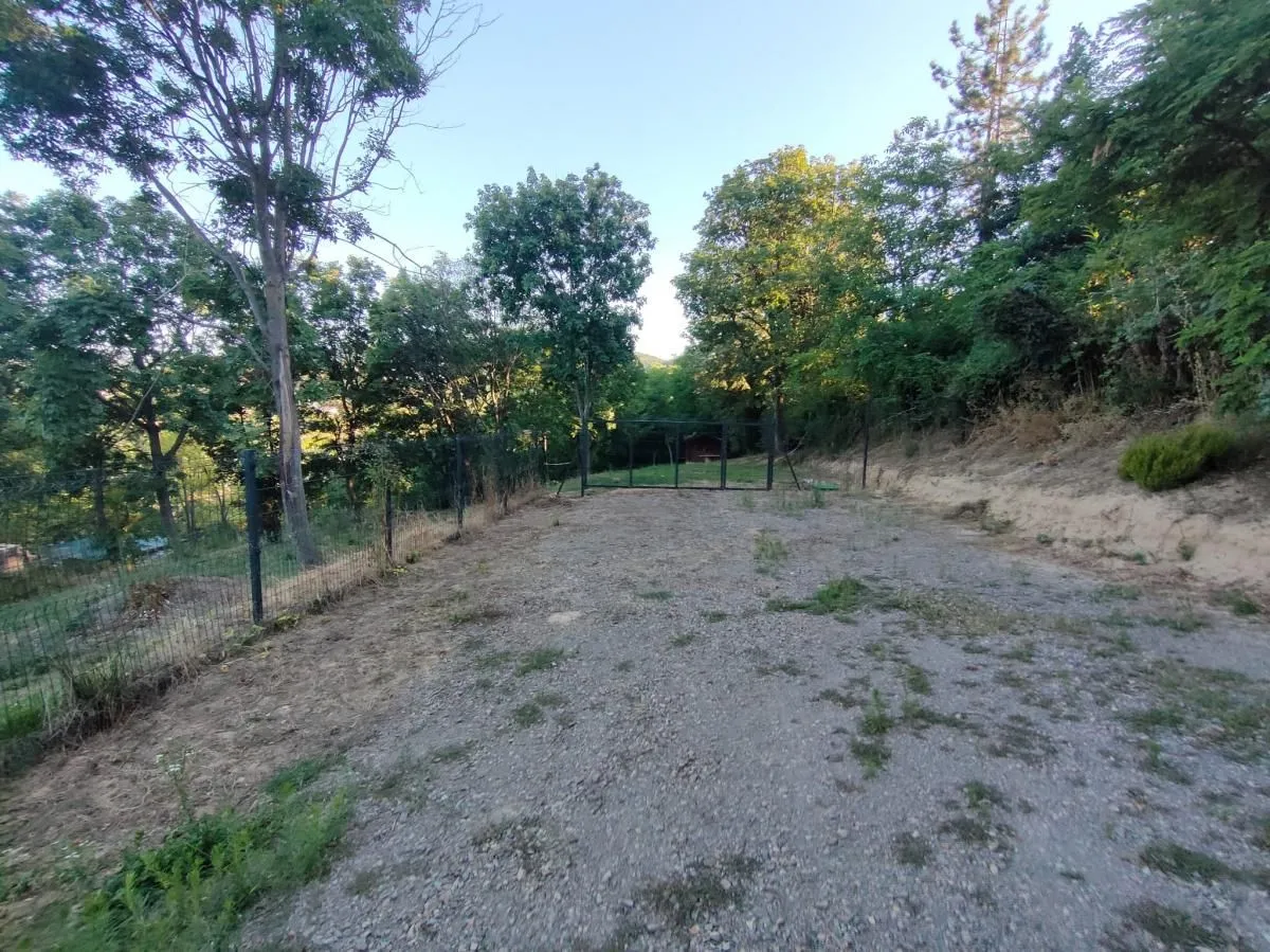 Prodaja, plac, 1900m², Sremska Kamenica, Petrovaradin