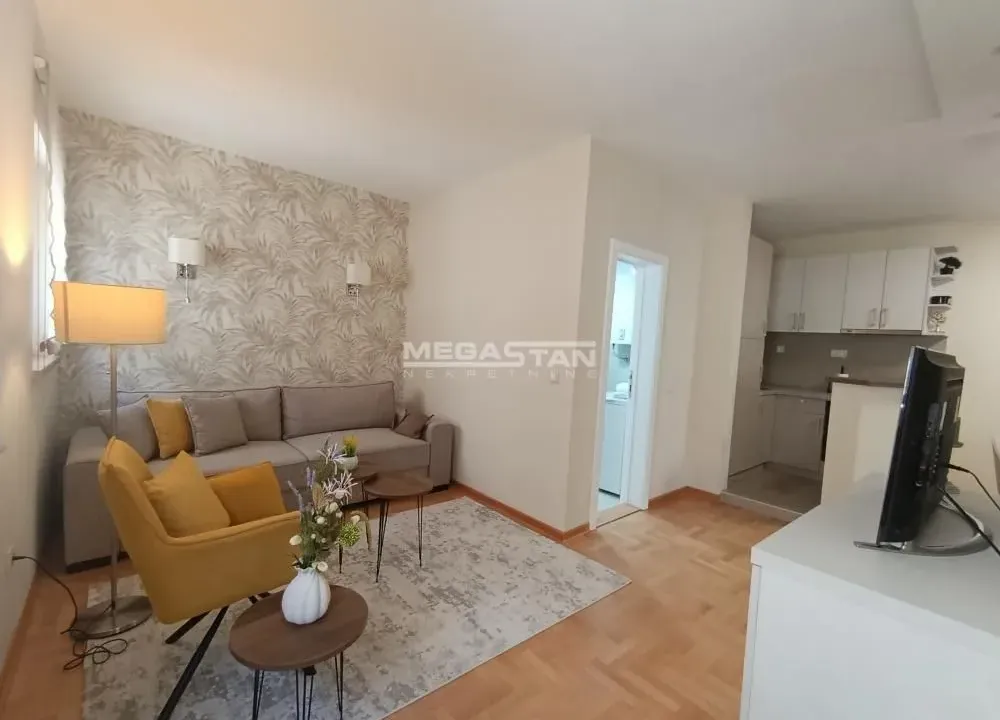 Rent, two bedroom apartment, 54m², Vračar Hram, Vračar Sve Podlokacije