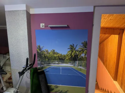 Prodaja, kuća, 274m², Tavrića obori, Jagodina - image 17