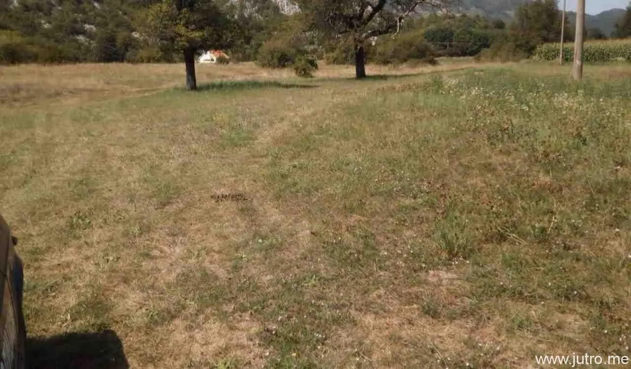Prodaja, plac, 8500m², Grahovo, Nikšić