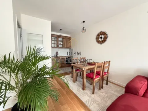 Izdavanje, jednosoban stan, 50m², Central Point, Podgorica - image 5