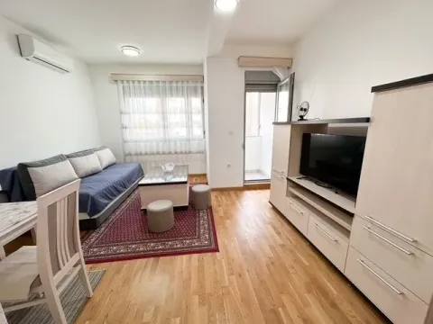 Izdavanje, jednosoban stan, 42m², Zabjelo, Podgorica - image 7