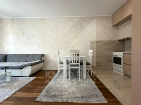 Izdavanje, jednosoban stan, 43m², Zabjelo, Podgorica - image 4