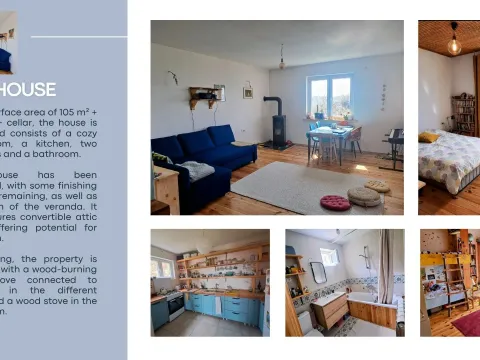 Prodaja, kuća, 285m², Piperi, Podgorica - image 4