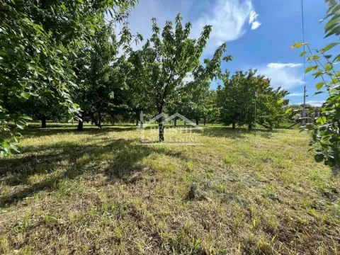 Prodaja, plac, 1050m², Plavinac, Smederevo - image 4