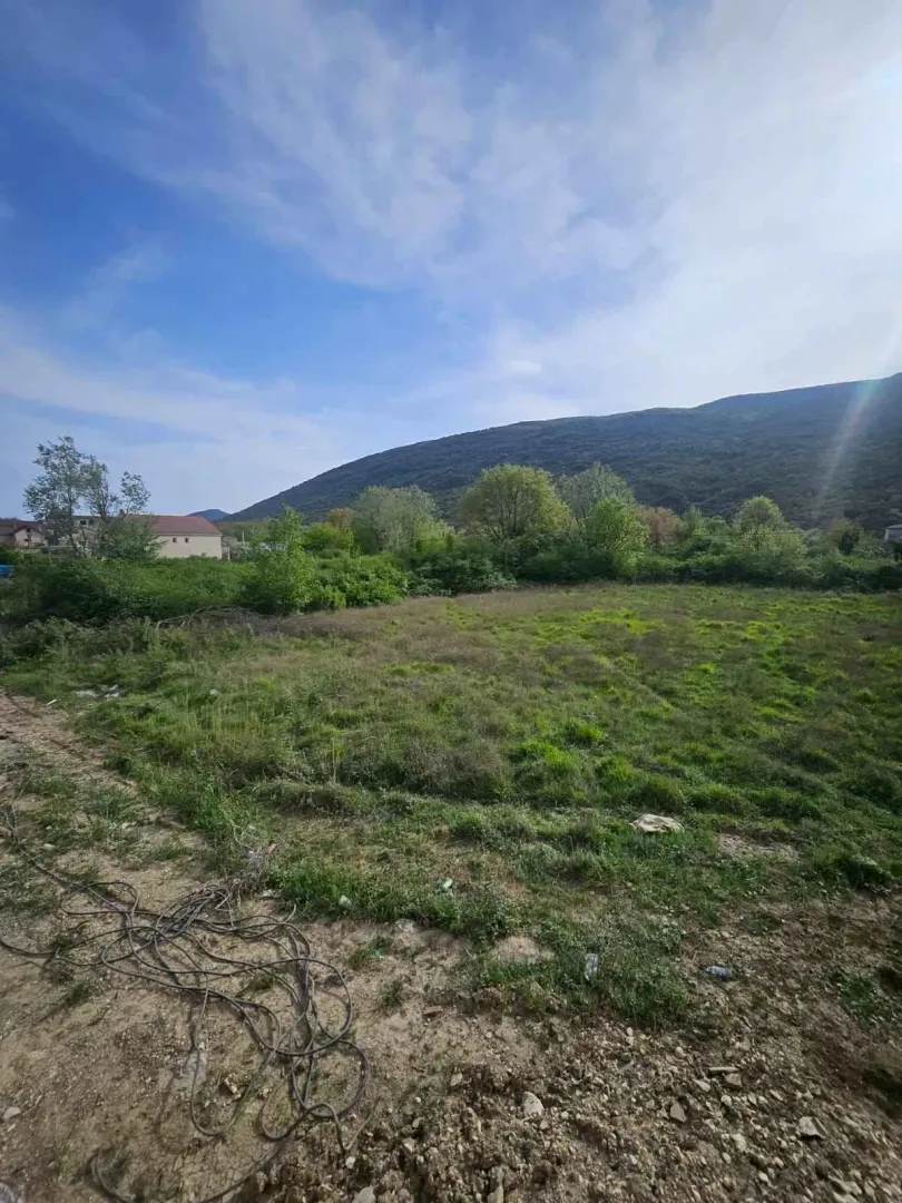 Pogled na zeleni plac sa rastinjem i okolnim brdima.