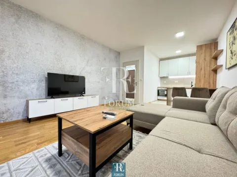 Izdavanje, jednosoban stan, 57m², Ljubović, Podgorica - image 3