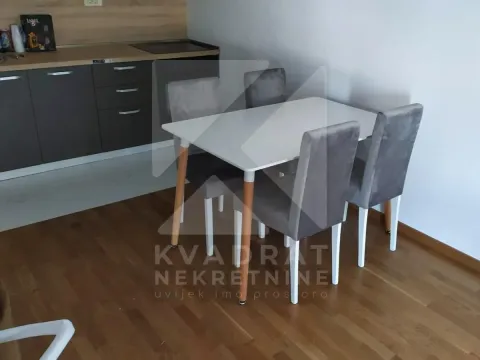 Rent, one bedroom apartment, 47m², Zabjelo, Podgorica - image 3