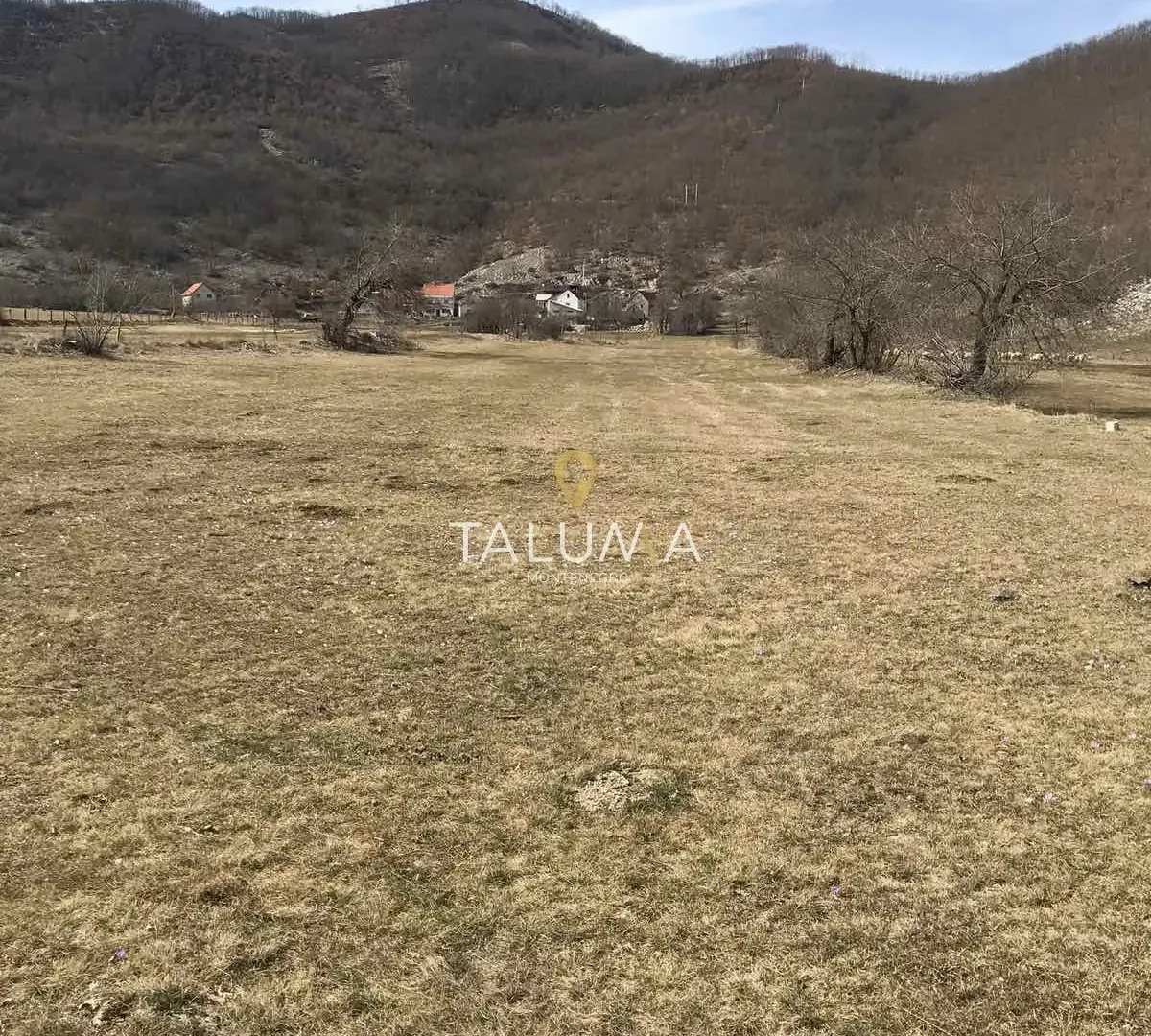 Prodaja, plac, 218000m², Grahovo, Nikšić