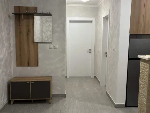 Izdavanje, jednosoban stan, 45m², Tološi, Podgorica - image 4