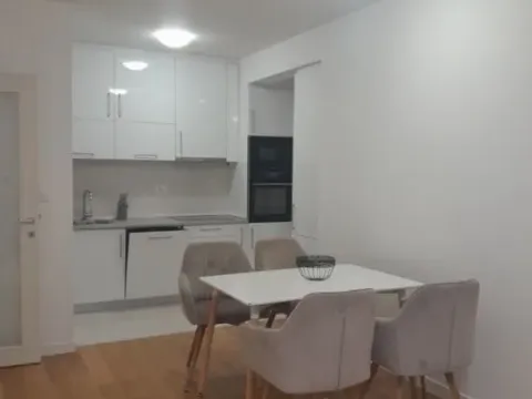 Izdavanje, jednosoban stan, 53m², Central Point, Podgorica - image 14