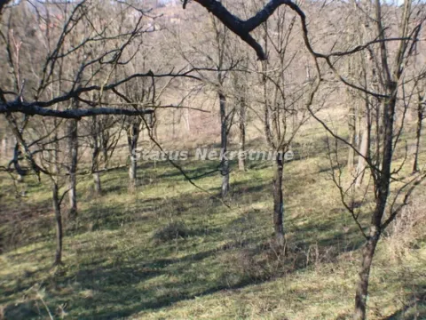 Sale, land lot, 24m², Irig, Srbija