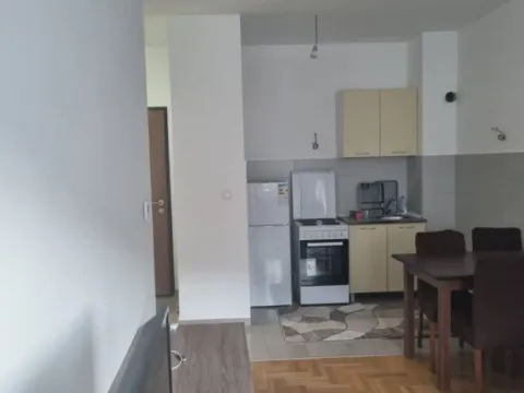 Izdavanje, jednosoban stan, 45m², Rozino, Budva - image 5