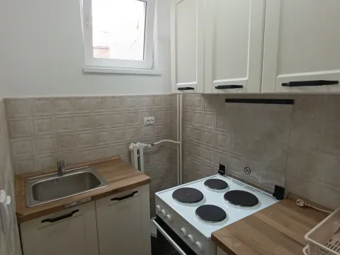 Rent, one bedroom apartment, 23m², Vračar Hram, Vračar Sve Podlokacije - image 7