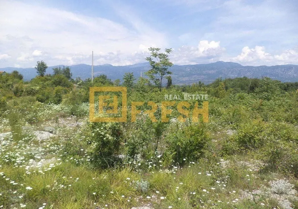 Prodaja, plac, 1200m², Danilovgrad, Crna Gora