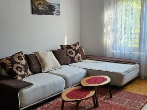 Izdavanje, dvosoban stan, 70m², Podgorica, Crna Gora - image 4