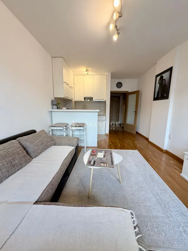 Rent, studio apartment, 30m², Tuški Put, Podgorica