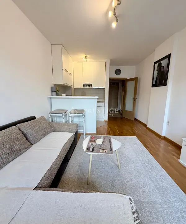 Rent, studio apartment, 30m², Tuški Put, Podgorica