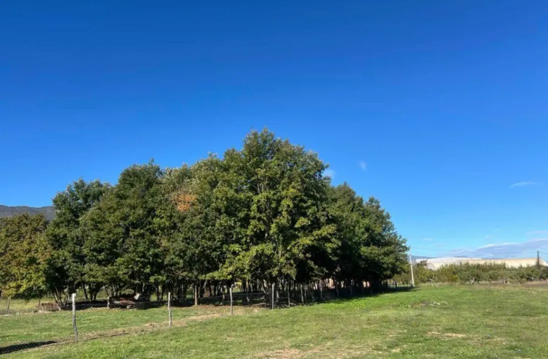 Prodaja, plac, 1258m², Ćurilac, Danilovgrad