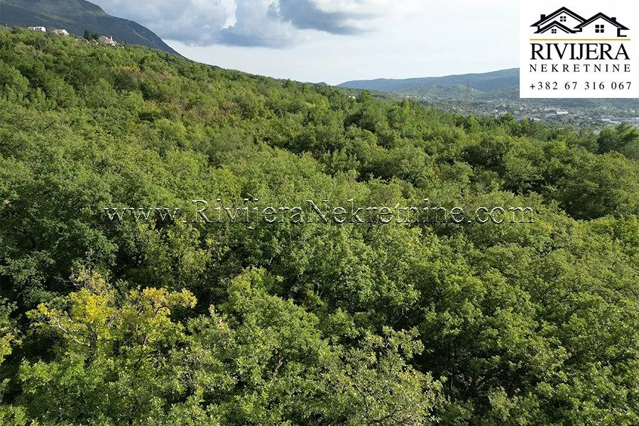 Prodaja, plac, 5356m², Dub, Kotor
