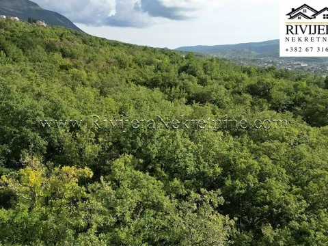 Prodaja, plac, 5356m², Dub, Kotor - image 8