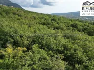 Prodaja, plac, 5356m², Dub, Kotor - image 8