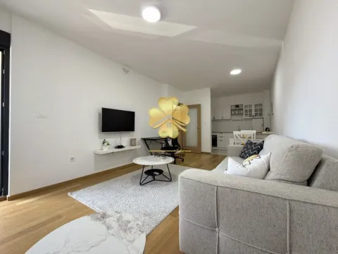 Rent, one bedroom apartment, 50m², Podgorica, Crna Gora - image 3