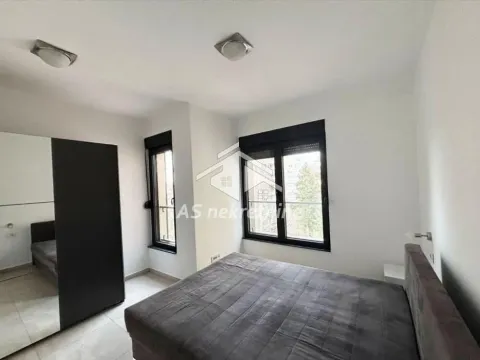 Izdavanje, stan, 55m², Južni Bulevar, Vračar Sve Podlokacije - image 9