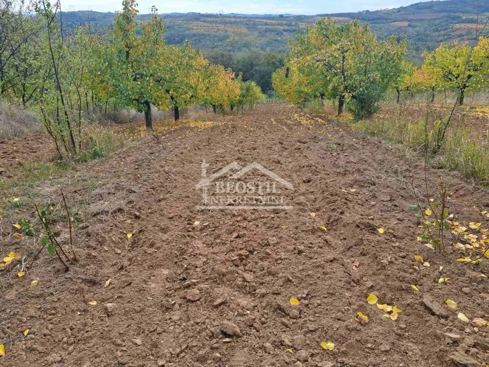 Prodaja, plac, 6900m², Grocka, Beograd