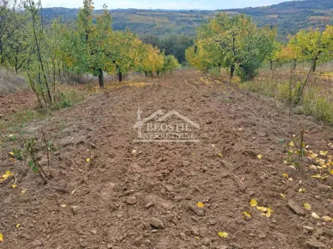 Sale, land lot, 6900m², Grocka, Beograd - image 8