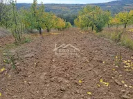 Prodaja, plac, Grocka, Beograd - image 8