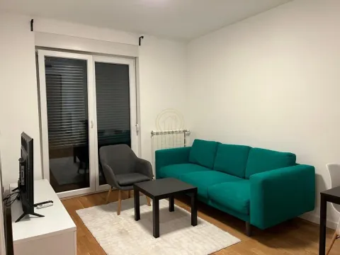 Izdavanje, dvosoban stan, 35m², Lekino Brdo, Voždovac Sve Podlokacije - image 2