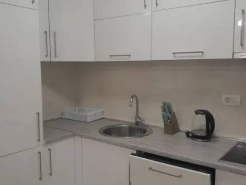 Izdavanje, jednosoban stan, 53m², Central Point, Podgorica - image 11