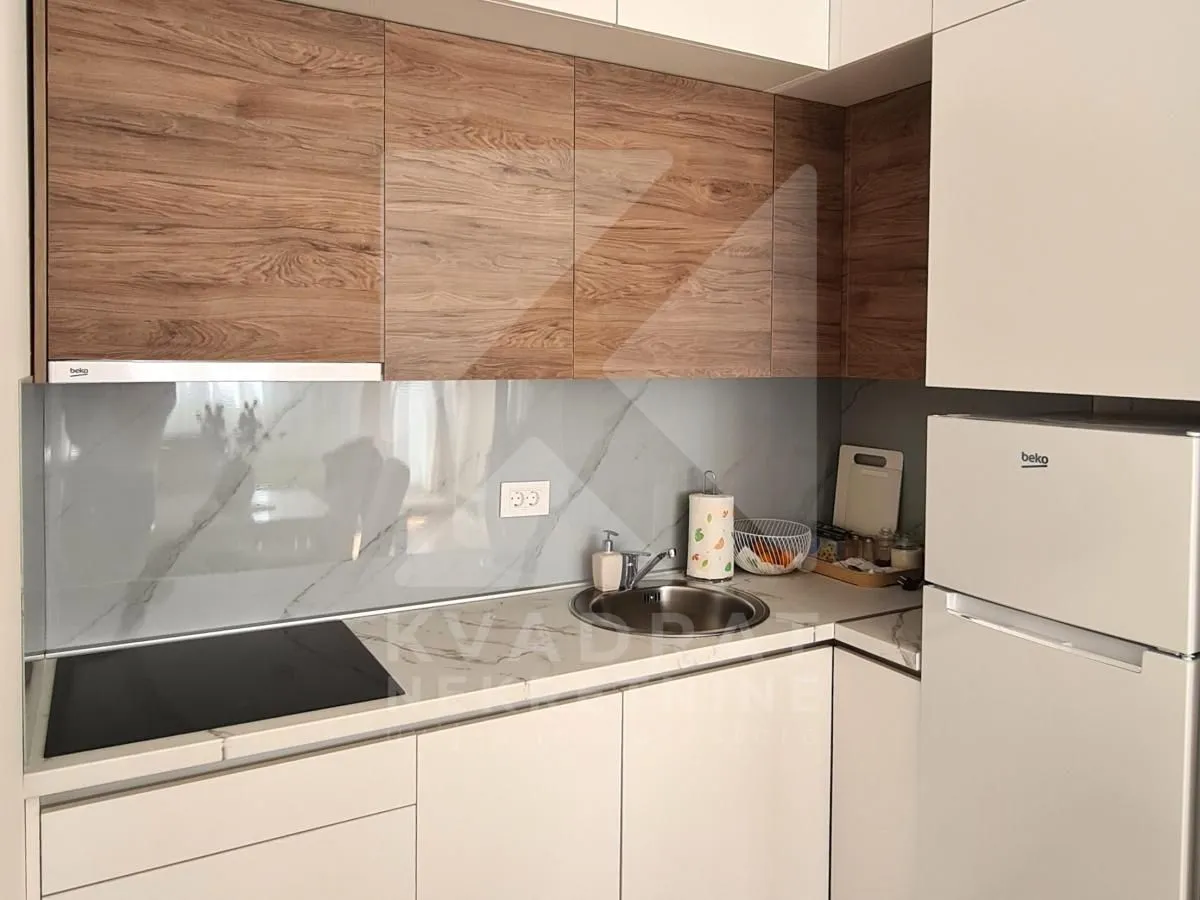 Rent, one bedroom apartment, 42m², Zabjelo, Podgorica