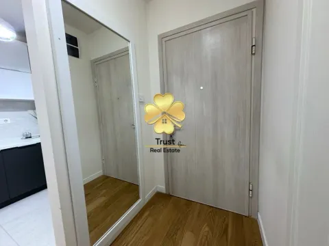 Izdavanje, jednosoban stan, 41m², Central Point, Podgorica - image 6