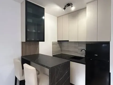 Izdavanje, jednosoban stan, 28m², Višnjica, Palilula Sve Podlokacije - image 3