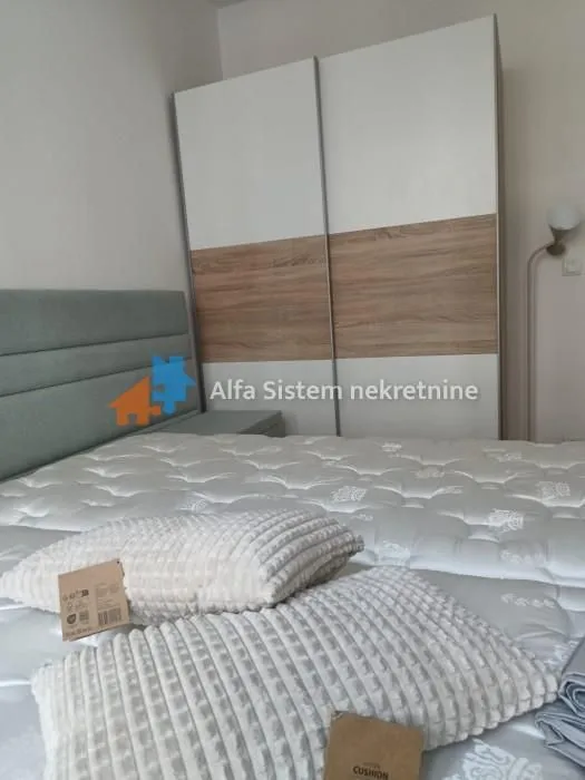 Izdavanje, dvosoban stan, 54m², Novi Beograd Blok 65, Novi Beograd Sve Podlokacije