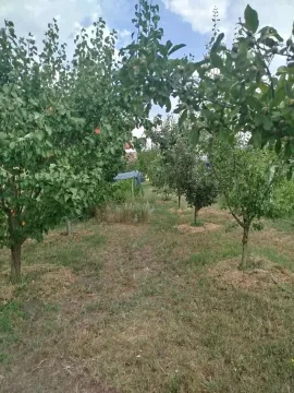 Zeleno dvorište sa voćnjakom i travnjakom. - image 19