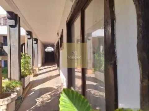 Sale, hospitality venue, 244m², Zemun Kalvarija, Zemun Sve Podlokacije - image 2