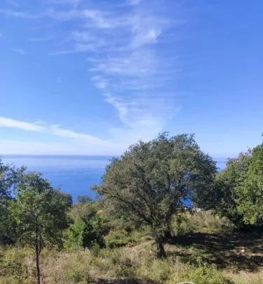 Prodaja, plac, 1227m², Dobra Voda, Budva
