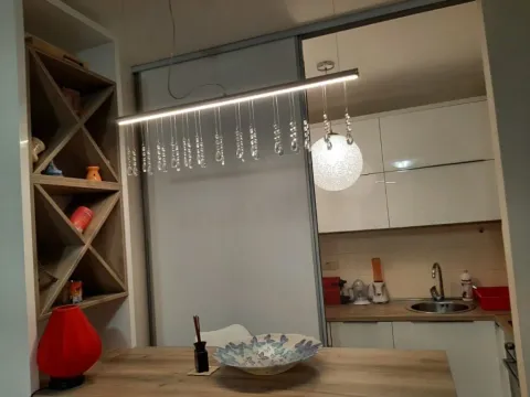 Izdavanje, jednosoban stan, 49m², City Kvart, Podgorica - image 6