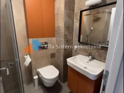 Rent, one bedroom apartment, 29m², Banovo Brdo, Beograd - image 6