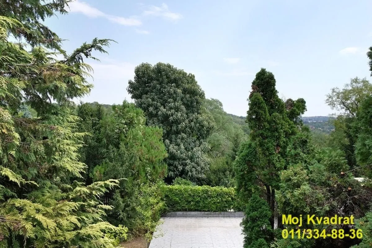 Izdavanje, kuća, 390m², Savski Venac, Beograd