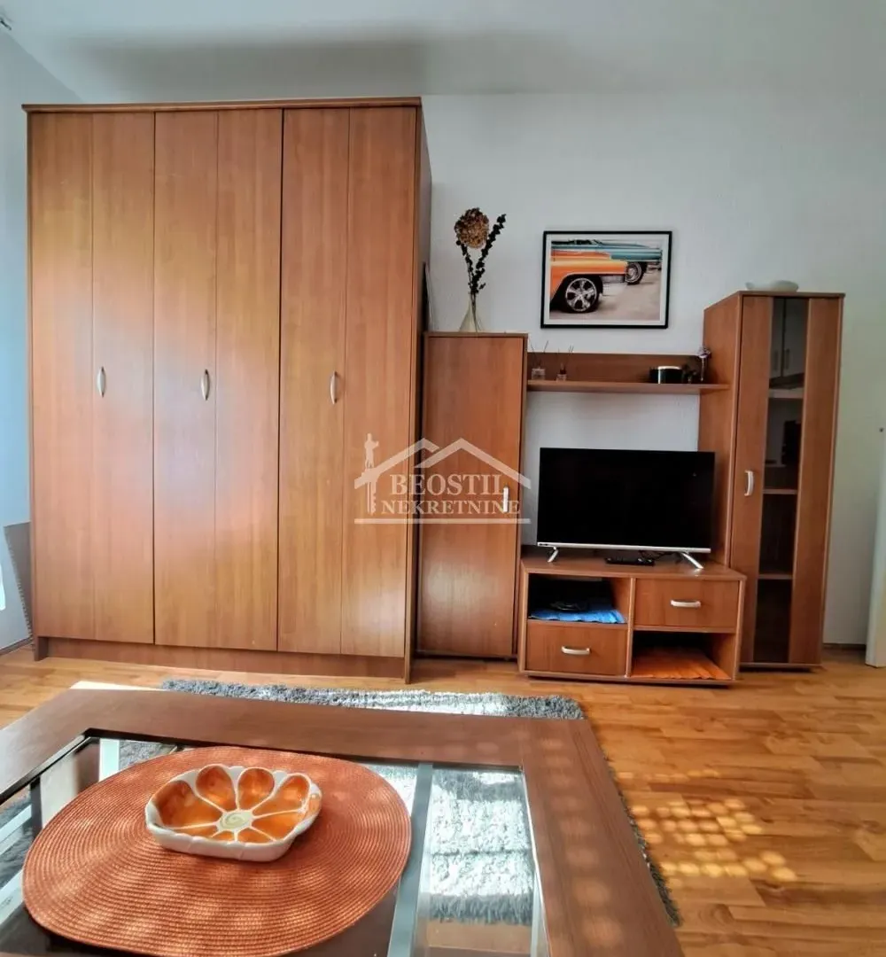 Izdavanje, stan, 20m², Karaburma, Palilula Sve Podlokacije