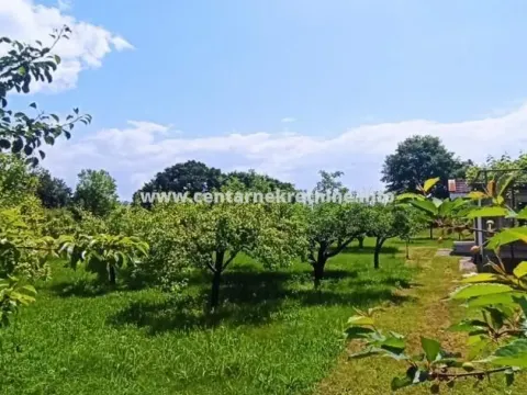 Sale, house, 130m², Ćurilac, Danilovgrad - image 4