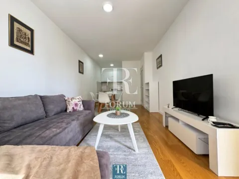 Rent, one bedroom apartment, 47m², Central Point, Podgorica - image 4