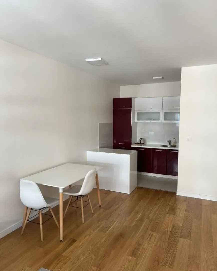 Izdavanje, jednosoban stan, 49m², Central Point, Podgorica