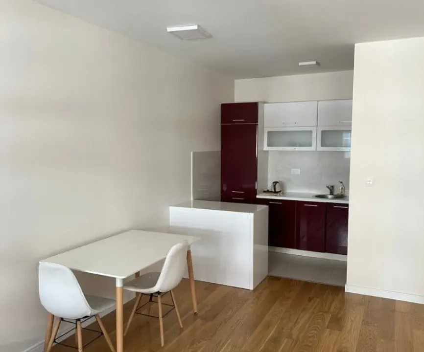 Izdavanje, jednosoban stan, 49m², Central Point, Podgorica