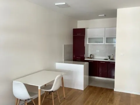 Izdavanje, jednosoban stan, 49m², Central Point, Podgorica