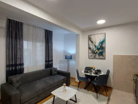 Rent, one bedroom apartment, 42m², Ljubović, Podgorica - image 9